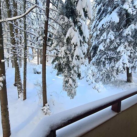Forest Apartment/ Villa Park Borovets Exterior foto